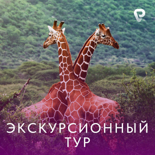 Экскурсионный тур в Африку!